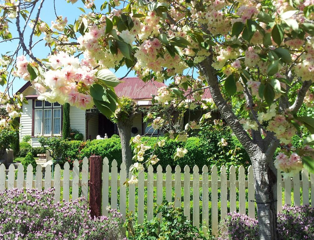 Barnsley House Bed And Breakfast Beechworth Zewnętrze zdjęcie